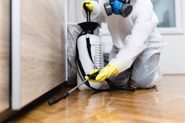 Best Local Pest Control Services  in Tuckahoe, VA