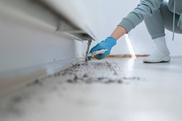 Professional Pest Control in Tuckahoe, VA